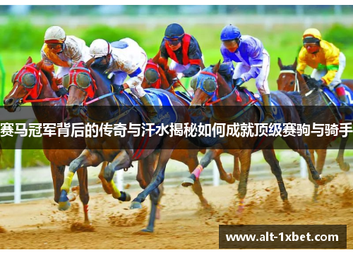赛马冠军背后的传奇与汗水揭秘如何成就顶级赛驹与骑手 赛马冠军背后的传奇与汗水揭秘如何成就顶级赛驹与骑手