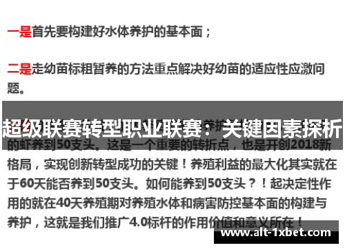 超级联赛转型职业联赛:关键因素探析 超级联赛转型职业联赛:关键因素探析