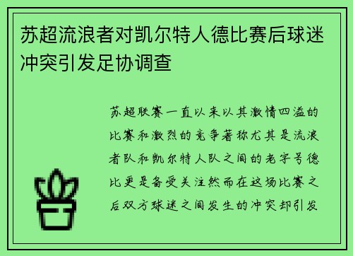 苏超流浪者对凯尔特人德比赛后球迷冲突引发足协调查